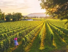 Franciacorta
