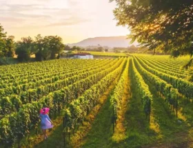 Franciacorta