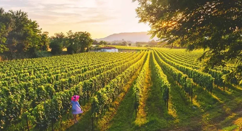 Franciacorta